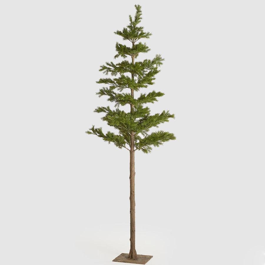 Pinheiro c/ Tronco Longo 216cm