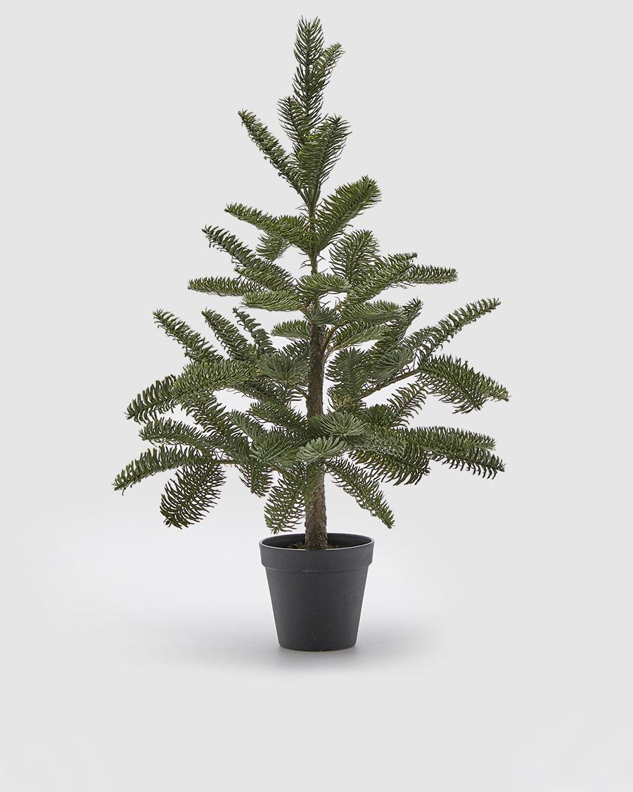 Pinheiro c/ Vaso Preto 63cm