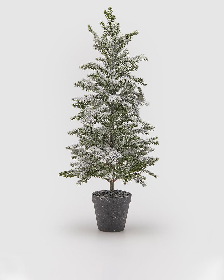 Pinheiro West c/ Neve 64cm