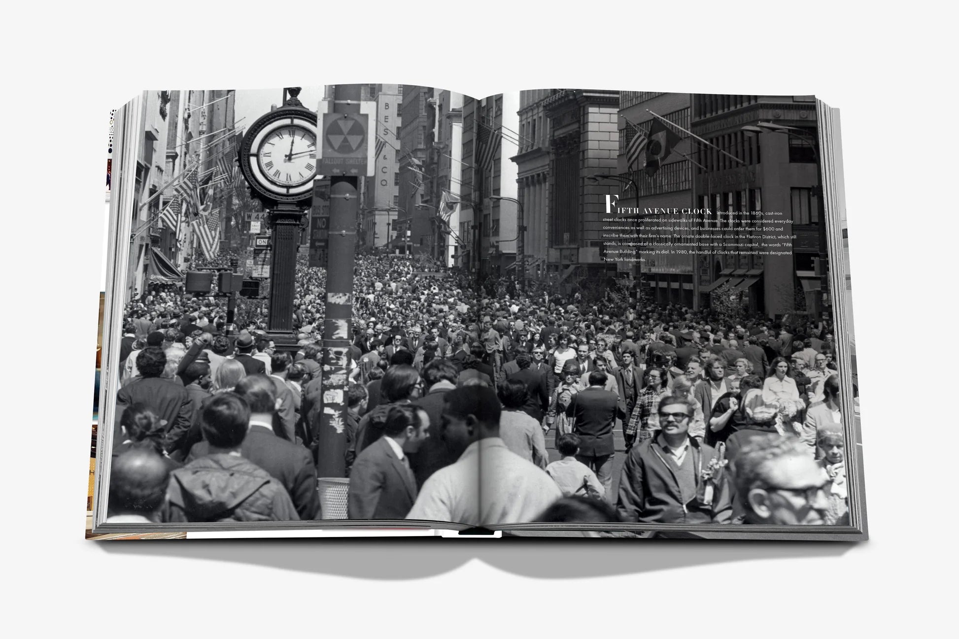Livro 5th Avenue 200 Years of Stories & Legends