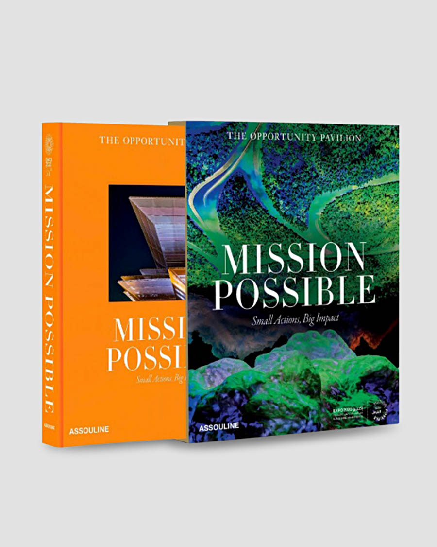 Dubai Expo: Mission Possible