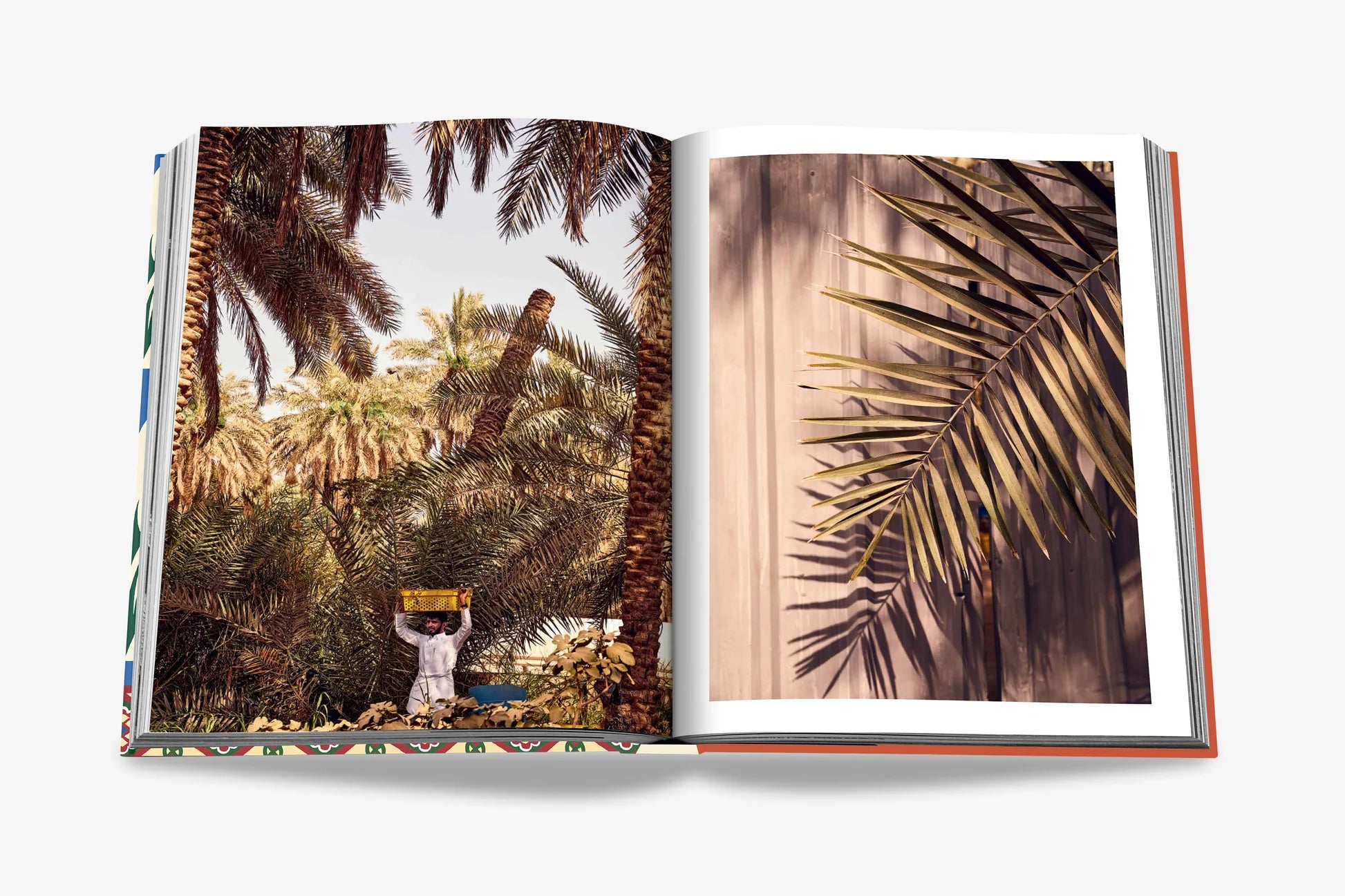 Livro Saudi Dates: A Portrait of the Sacred Fruit