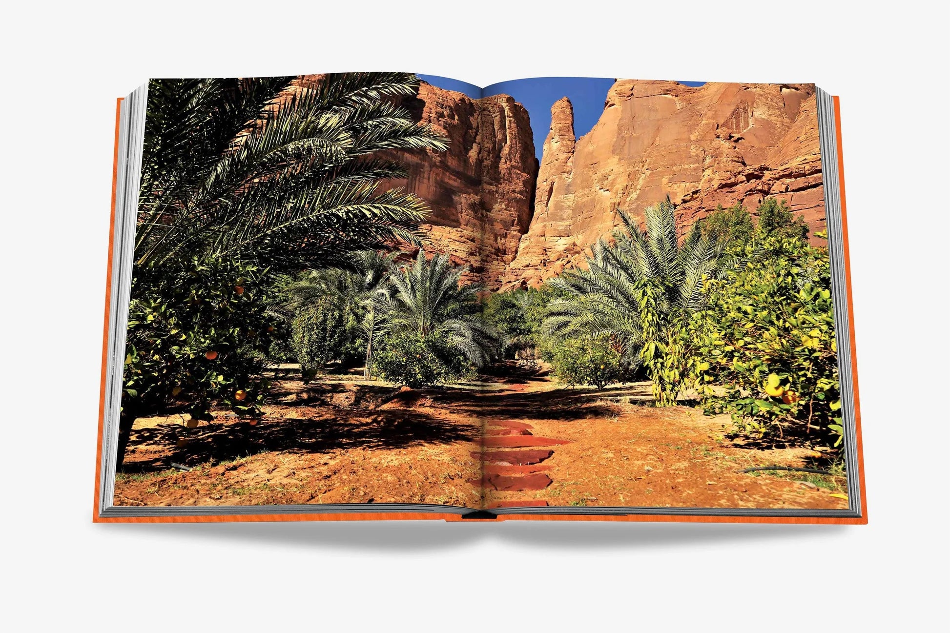 Livro Alula Flora