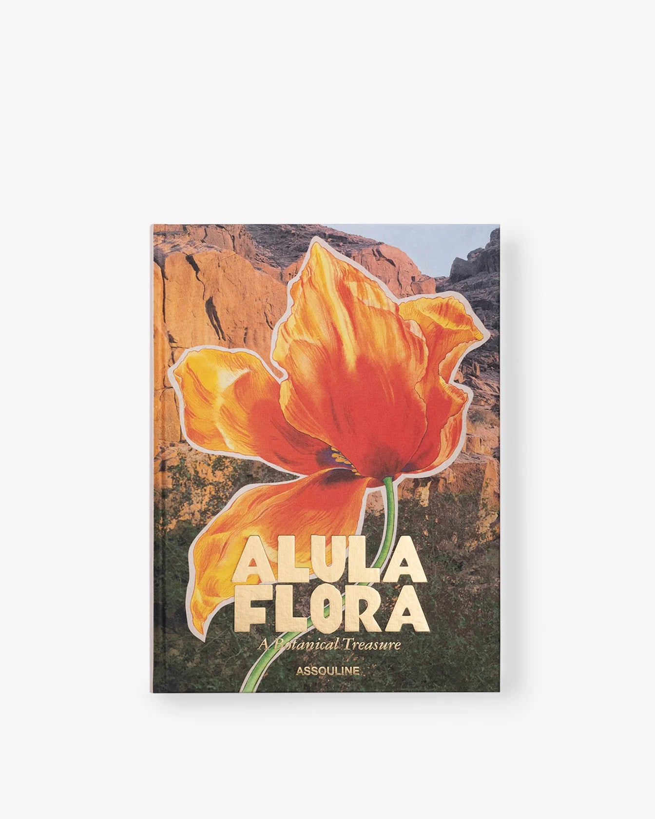 Livro Alula Flora