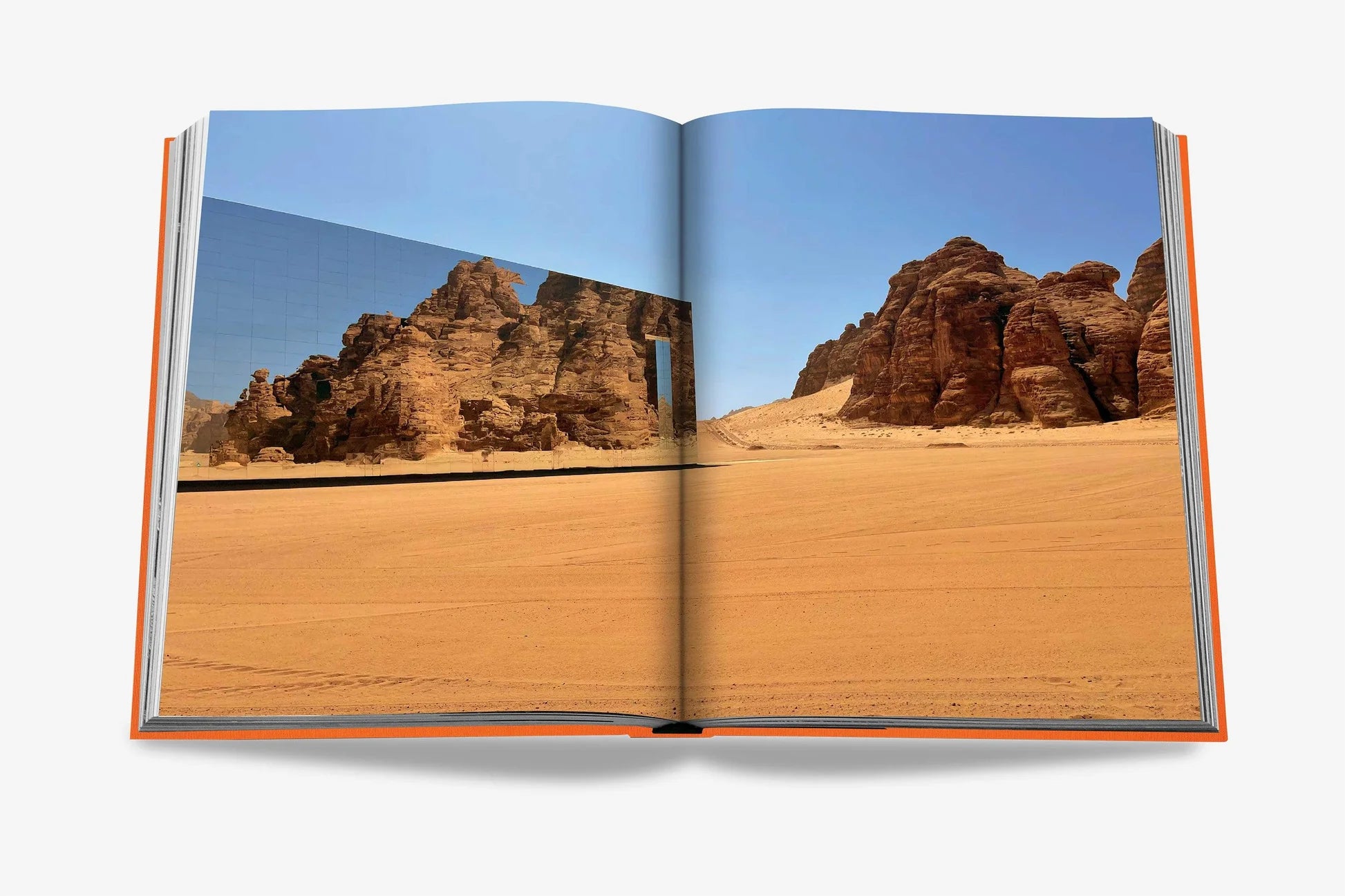Livro Alula Flora