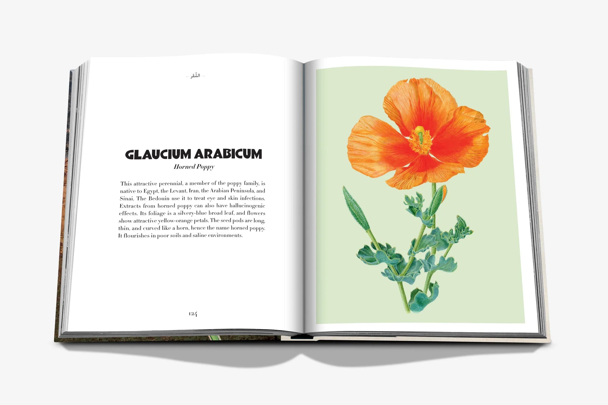 Livro Alula Flora
