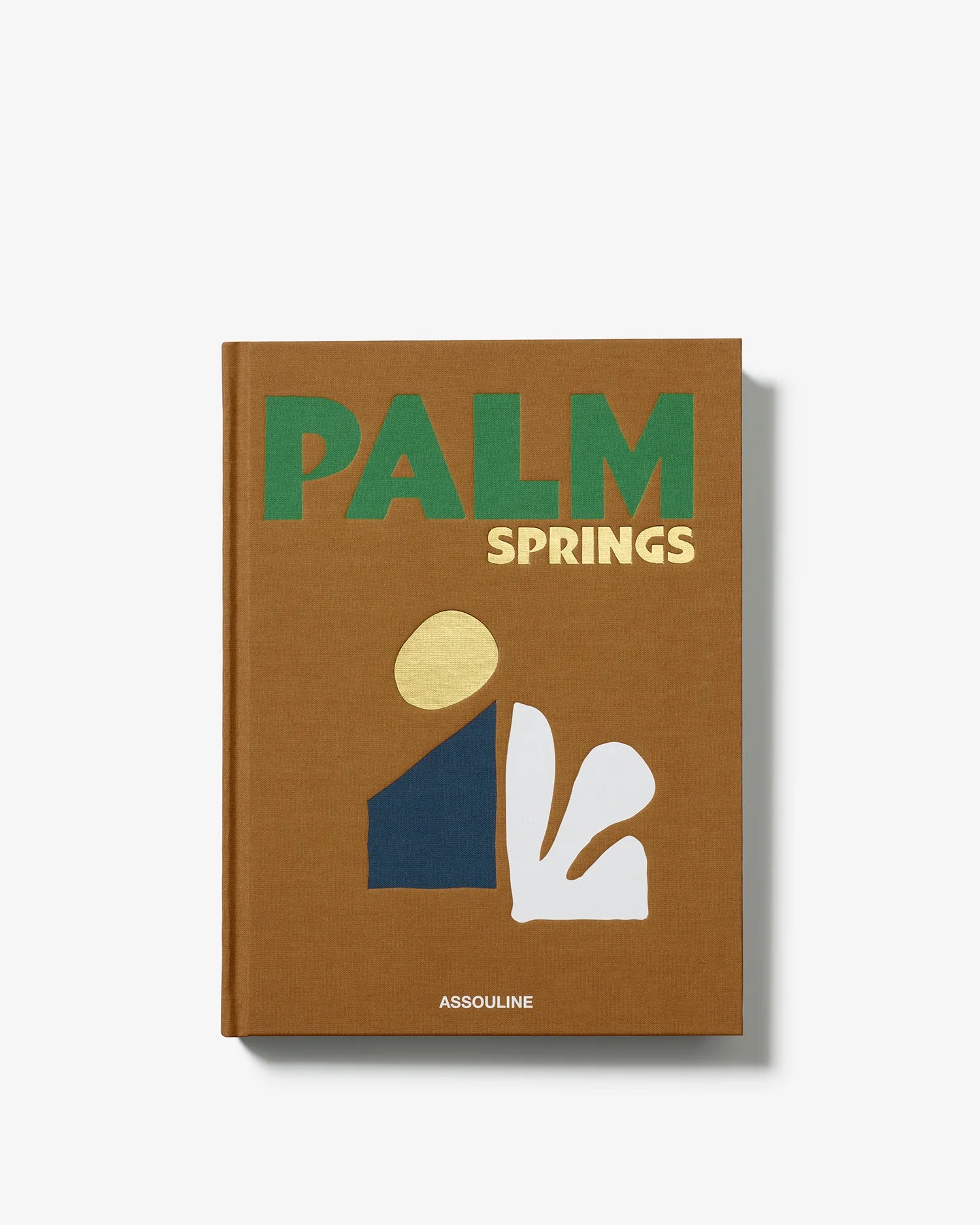 Livro Palm Springs