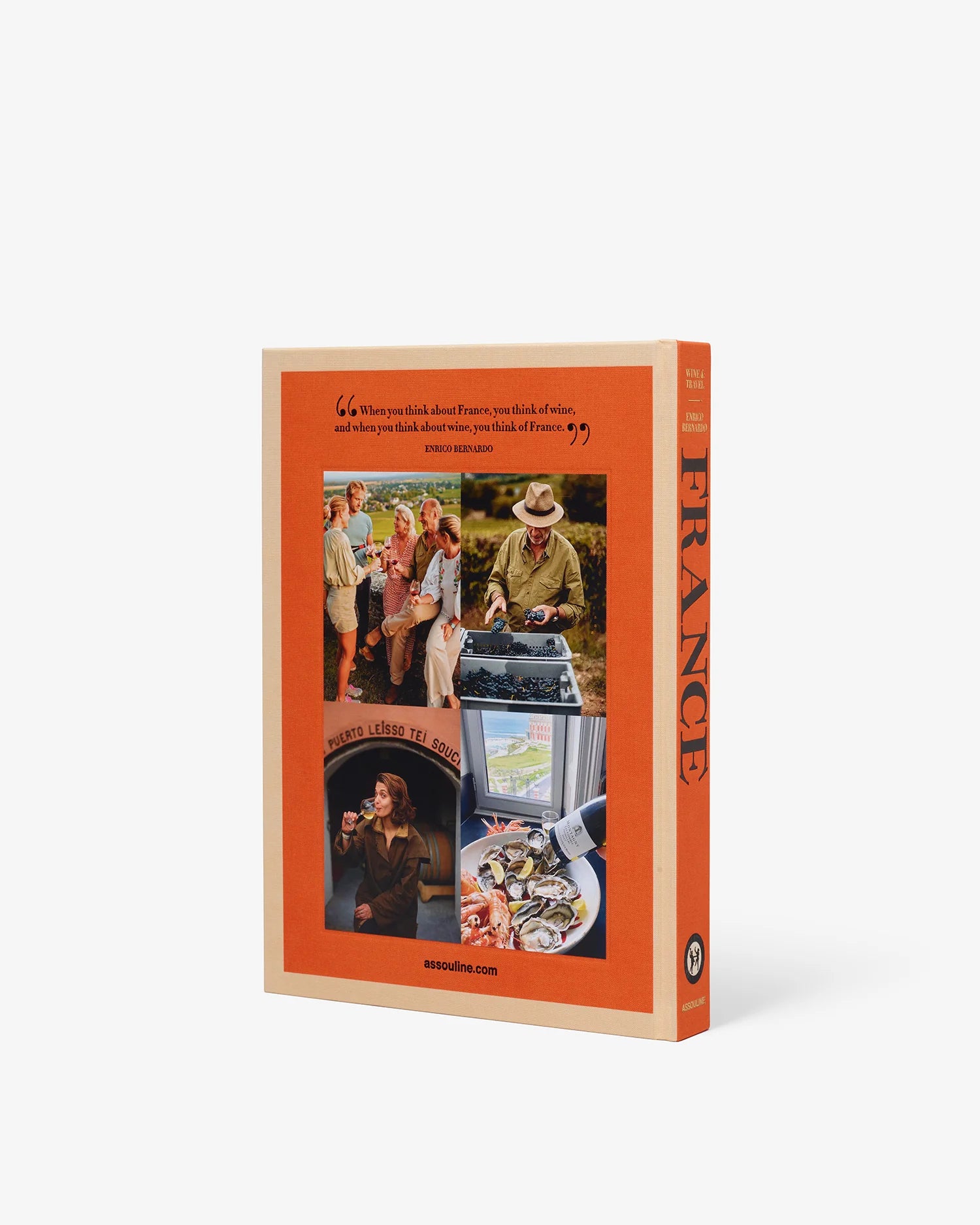 Livro Wine & Travel France