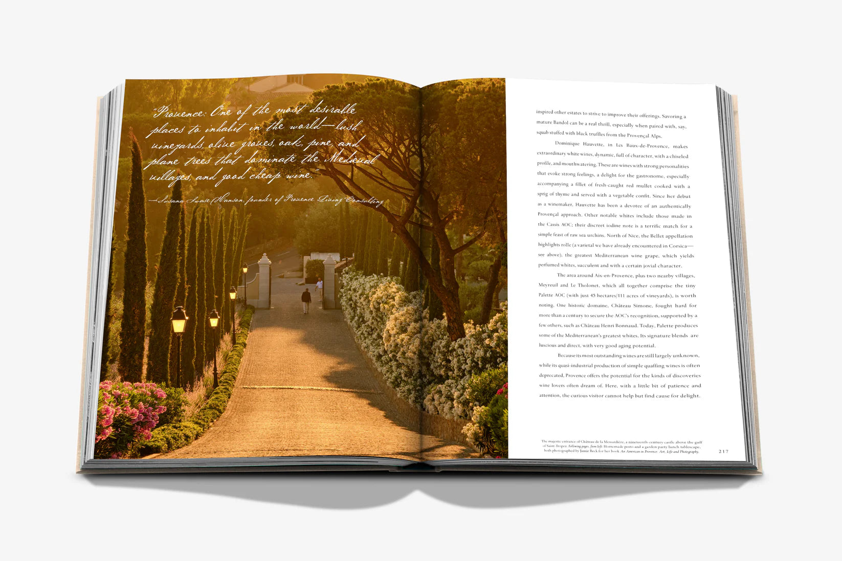 Livro Wine & Travel France