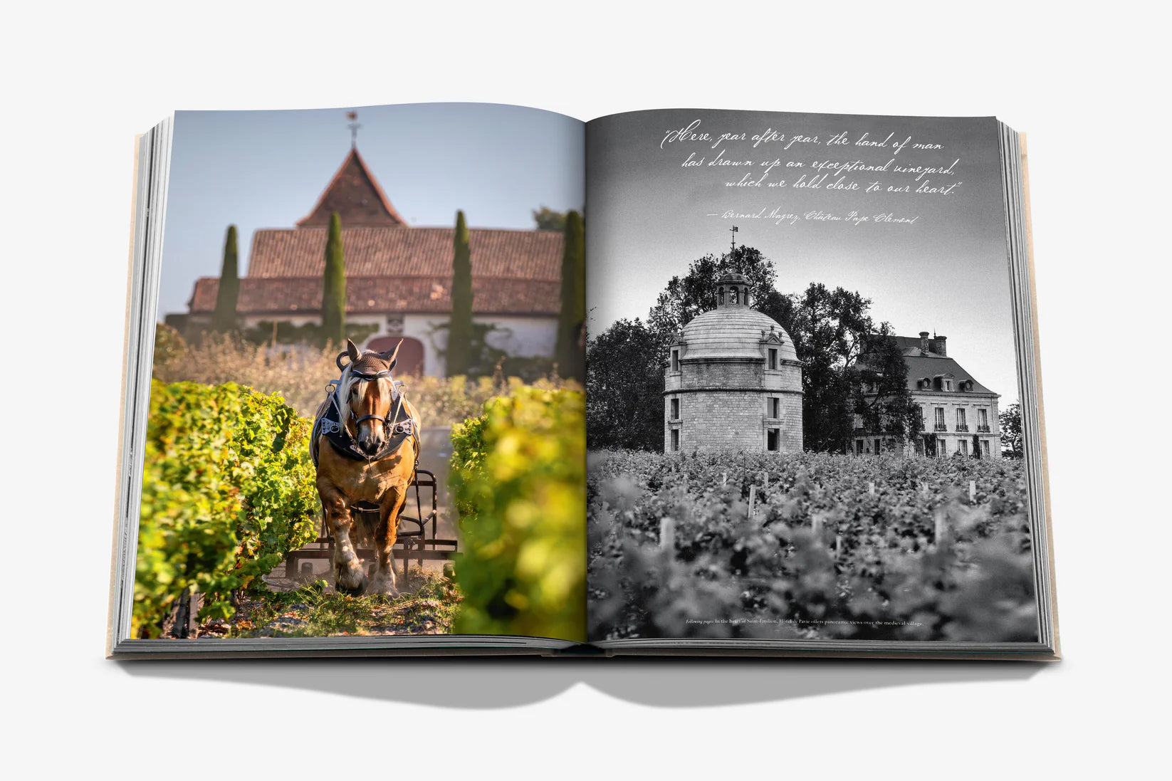 Livro Wine & Travel France
