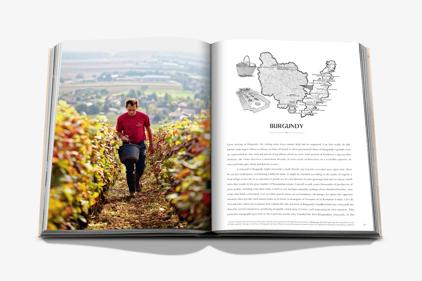 Livro Wine & Travel France