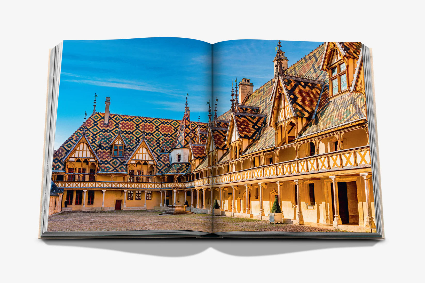 Livro Wine & Travel France