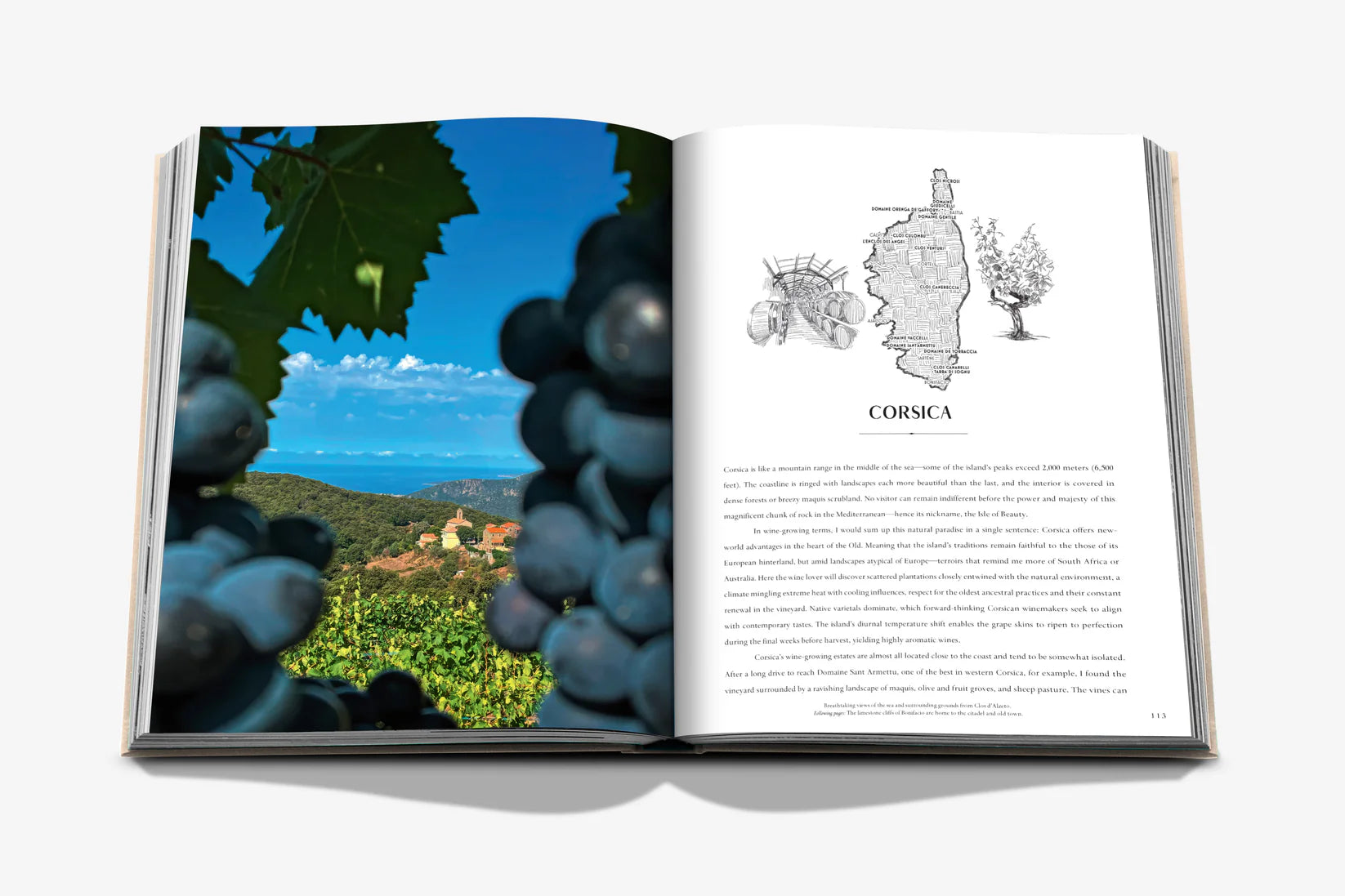 Livro Wine & Travel France