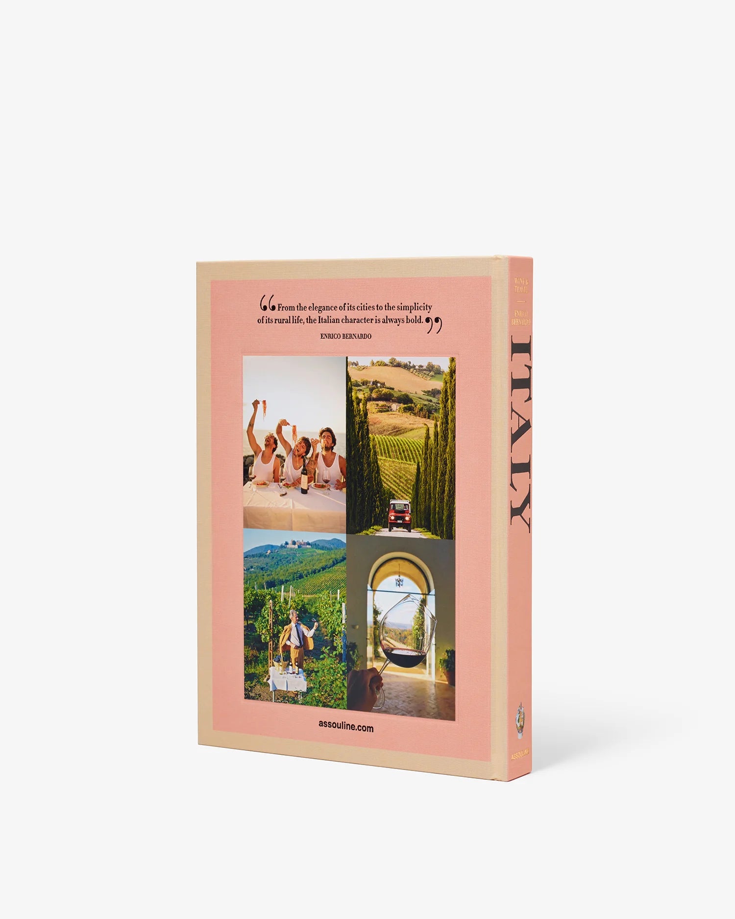 Livro Wine & Travel Italy