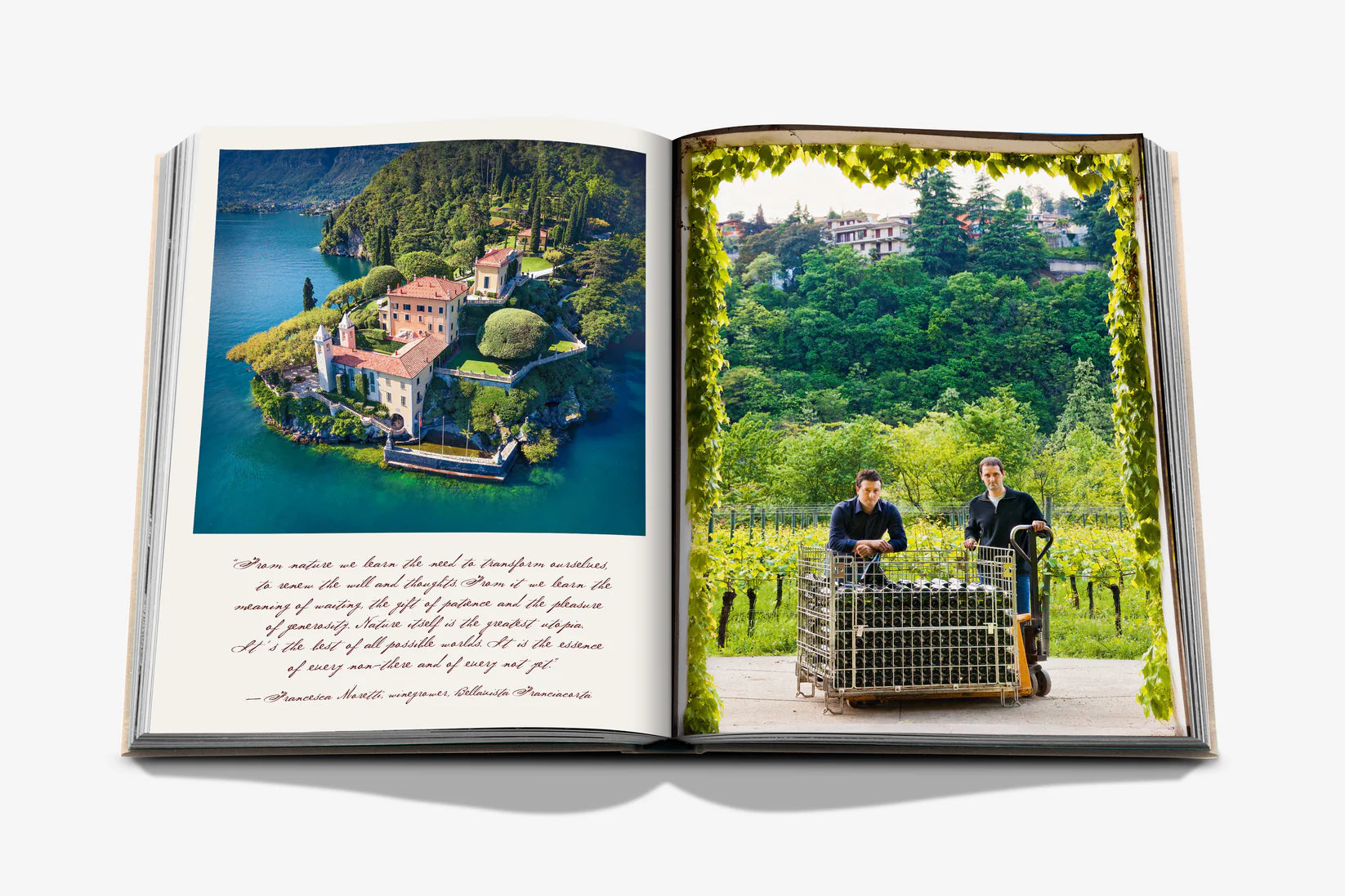 Livro Wine & Travel Italy