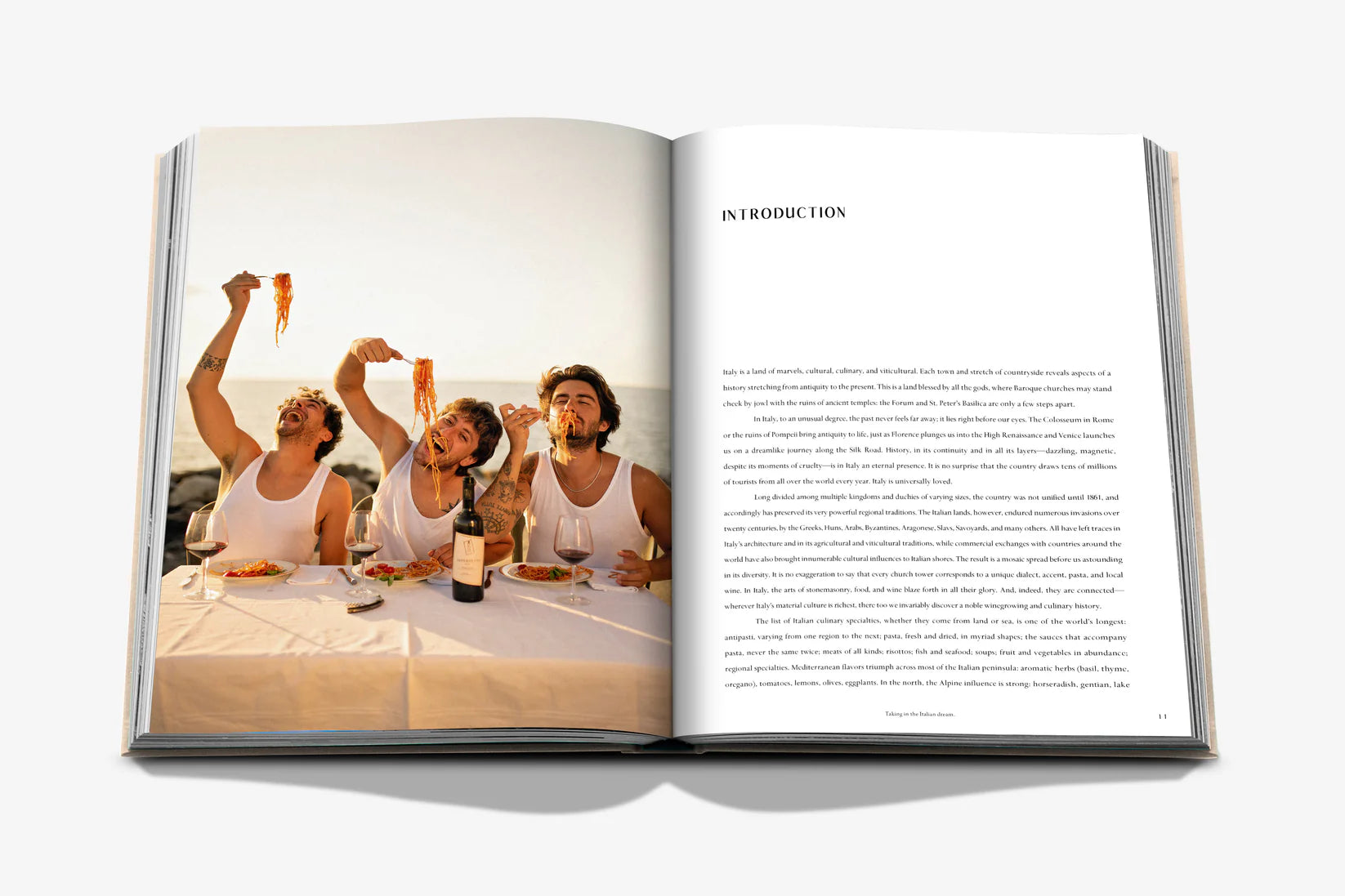 Livro Wine & Travel Italy