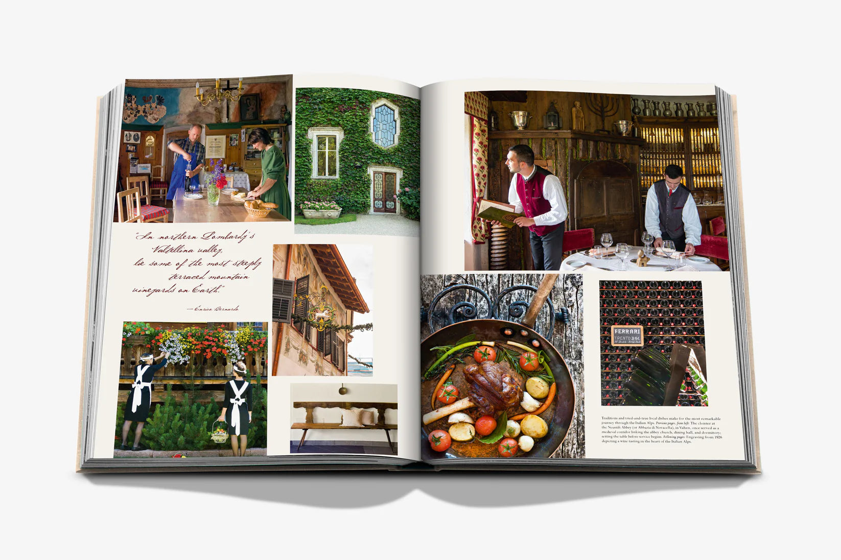 Livro Wine & Travel Italy