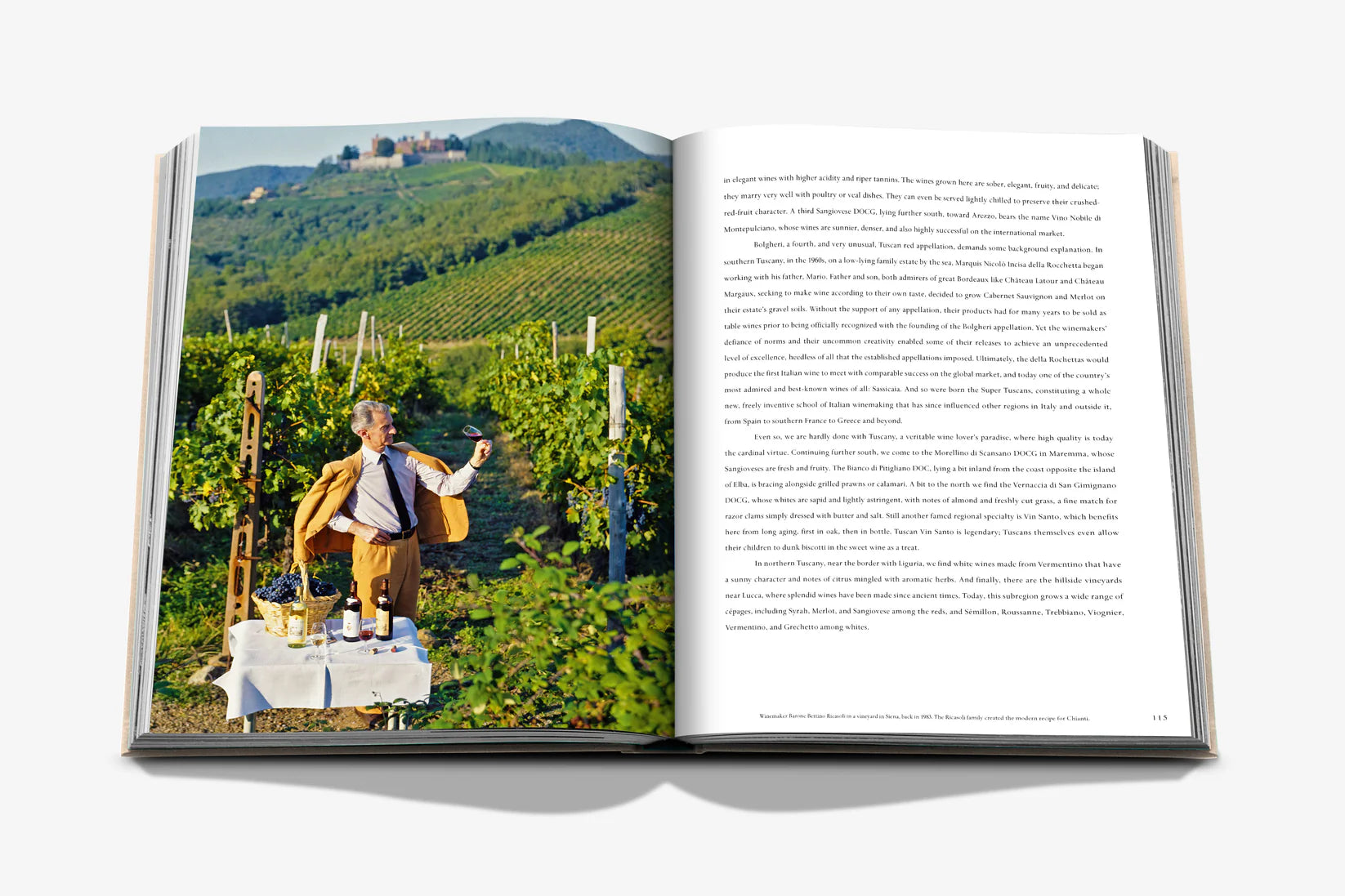 Livro Wine & Travel Italy