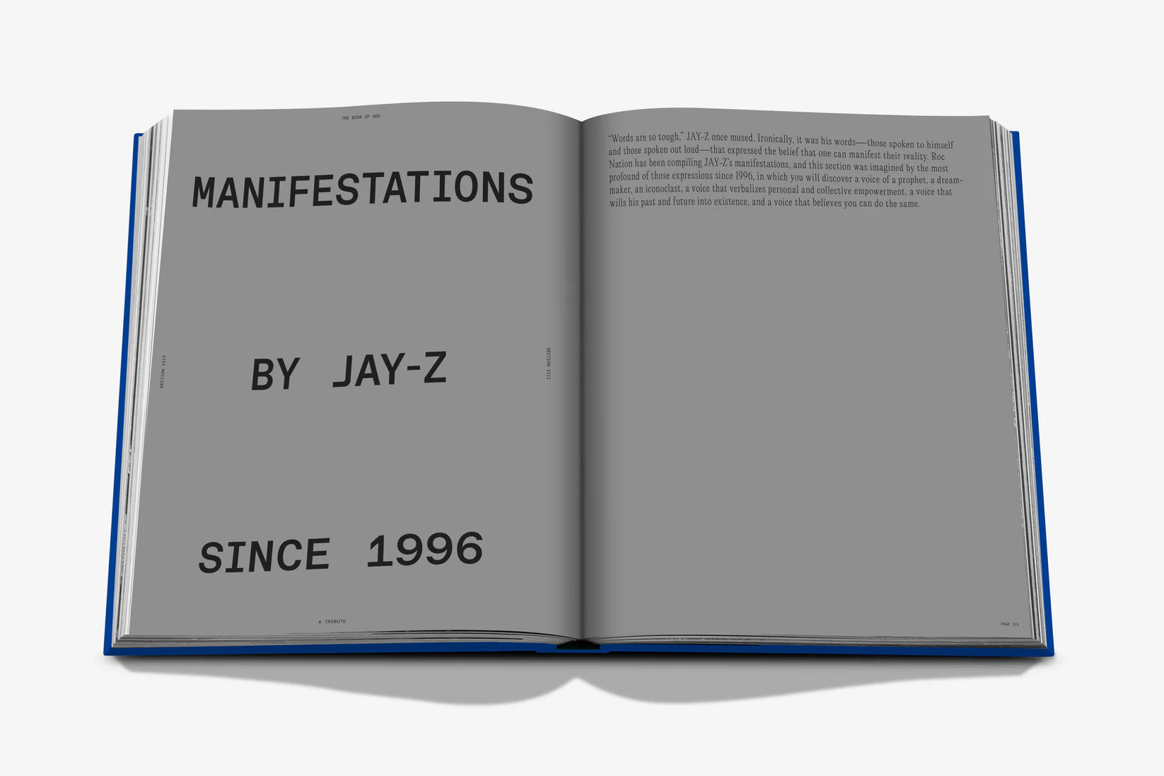 Livro The Book of Hov