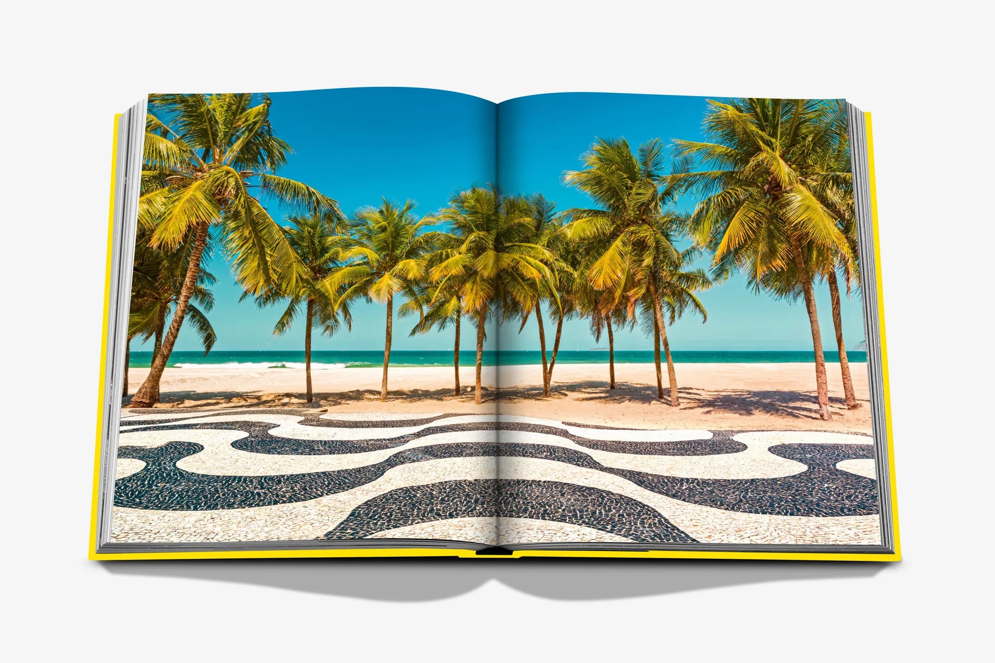 Livro Rio de Janeiro