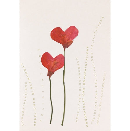 Postal “Flores de Papoila”