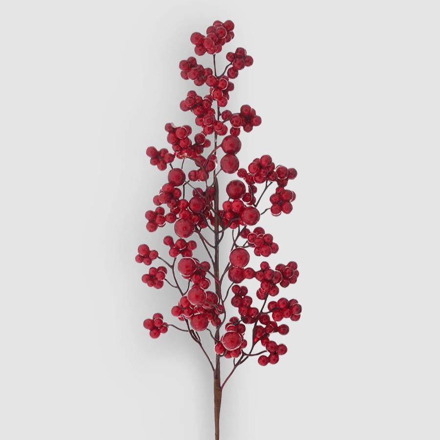 Ilex 60cm