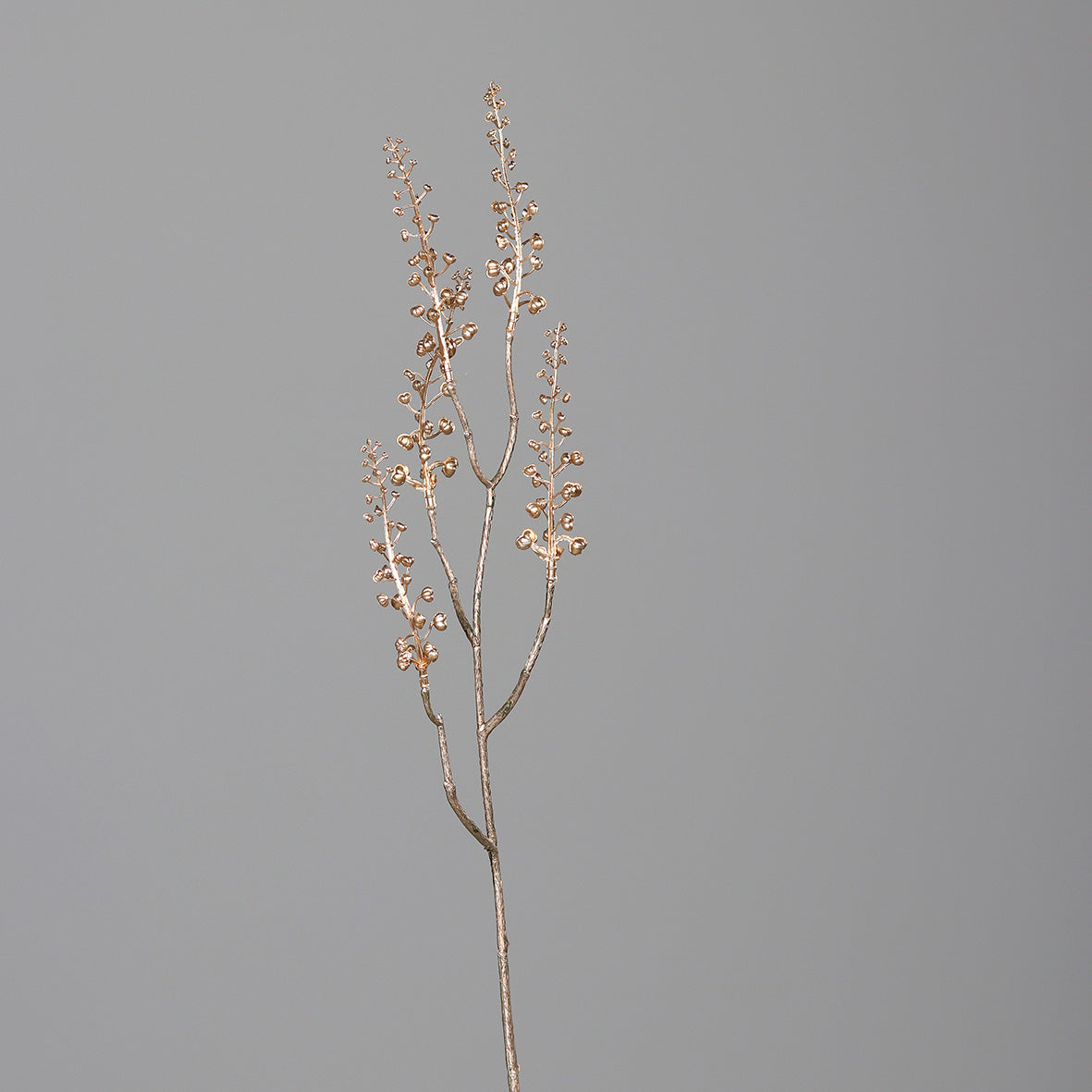 Zimbro Dourado 60cm