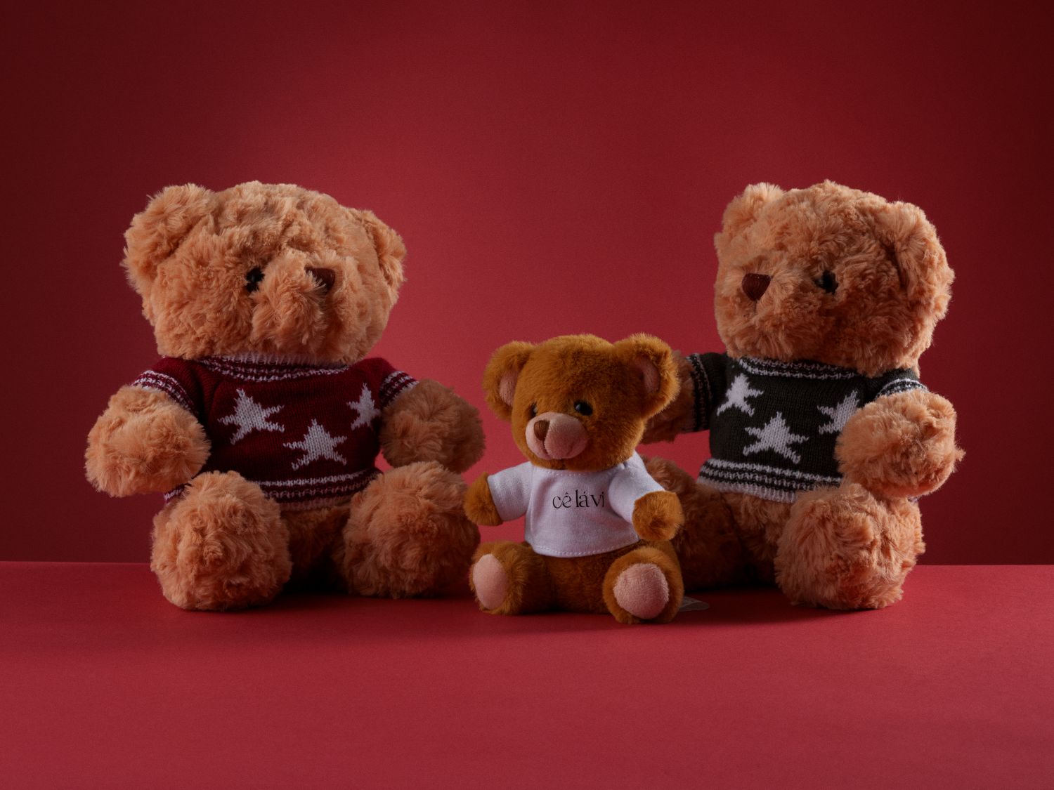 Teddy Bear Cê Lá Vi 22cm