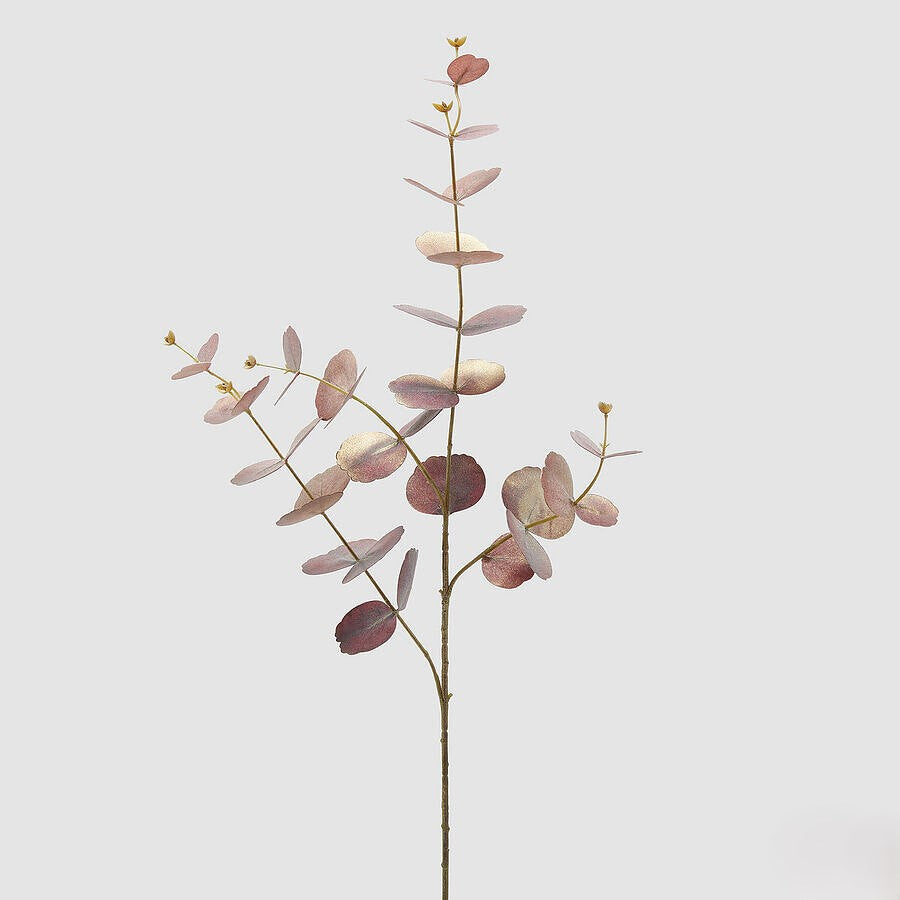 Eucalipto Garnet 90cm