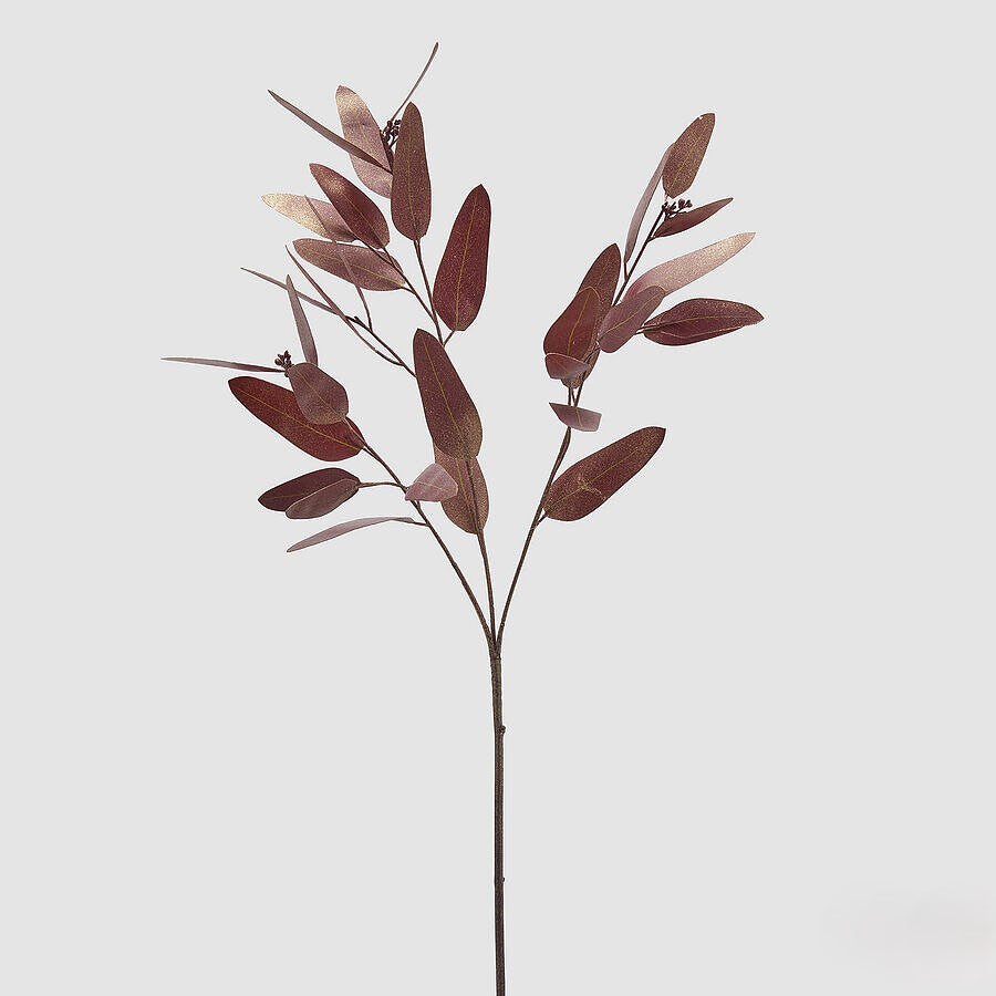 Eucalipto Castanho 82cm