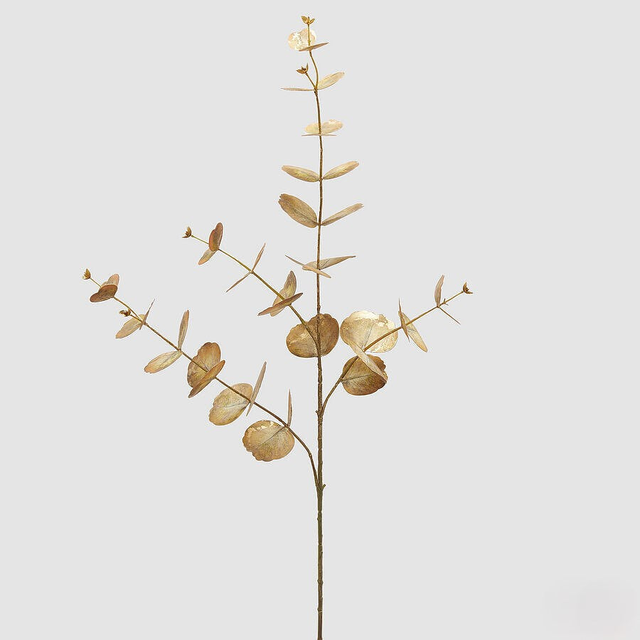 Eucalipto Copper 90cm