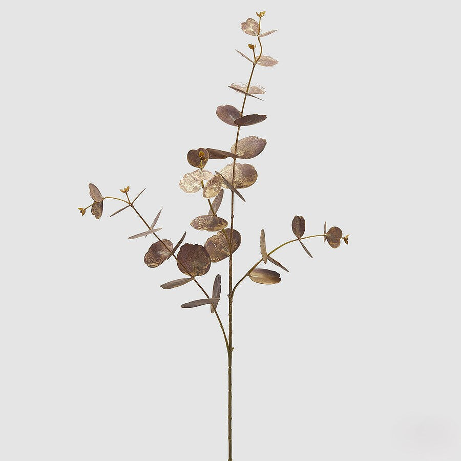 Eucalipto Garnet II 90cm