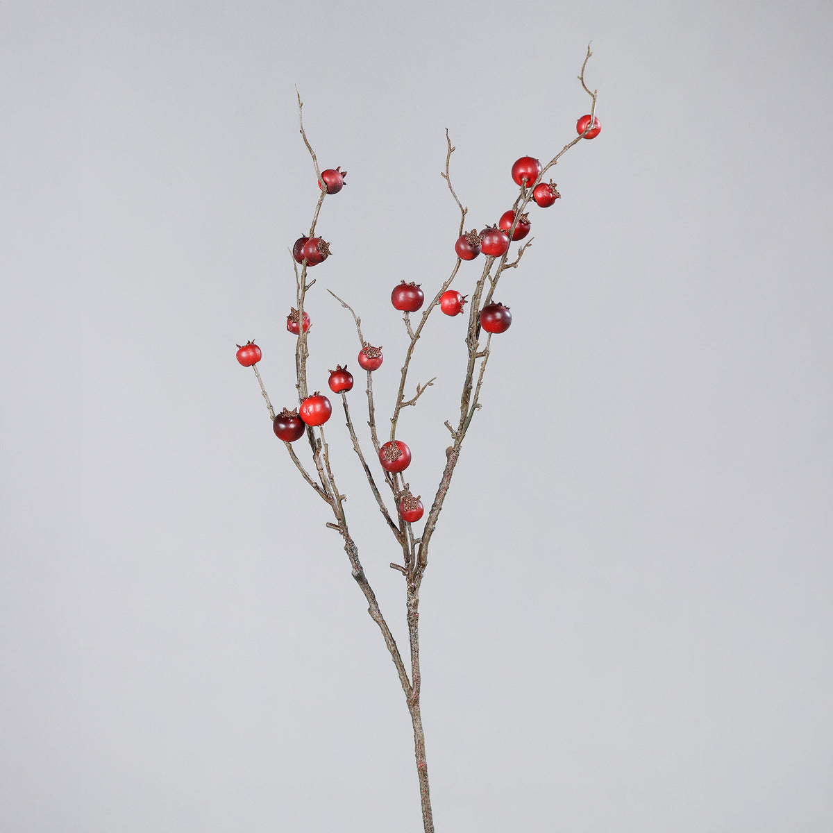 Ramo roseira brava 84cm