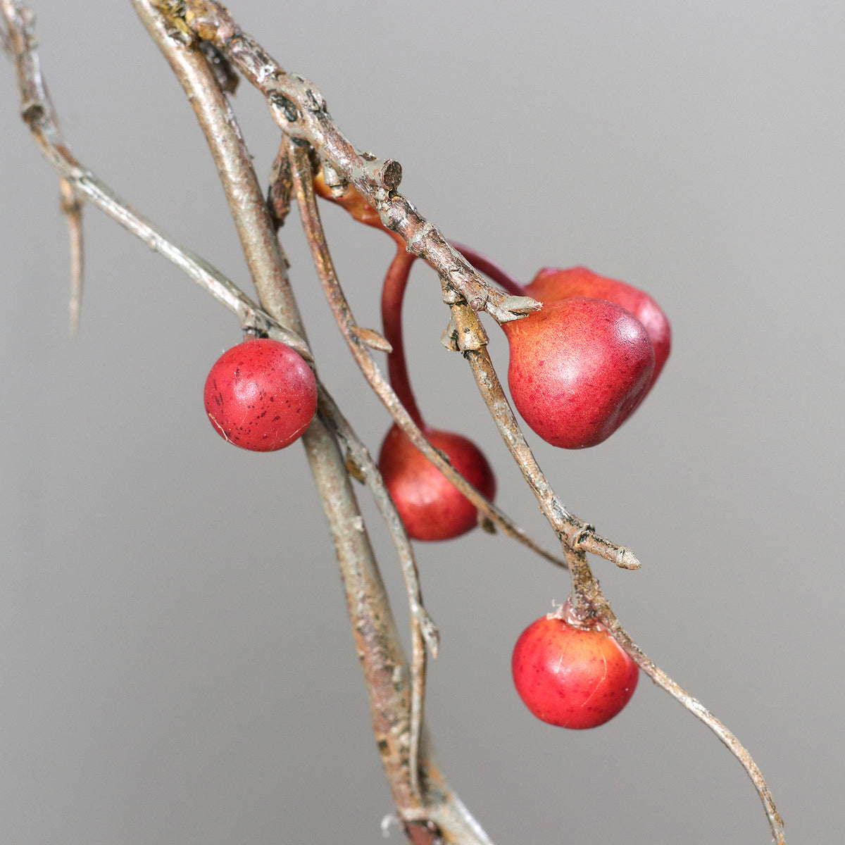 Ramo Roseira brava 86cm