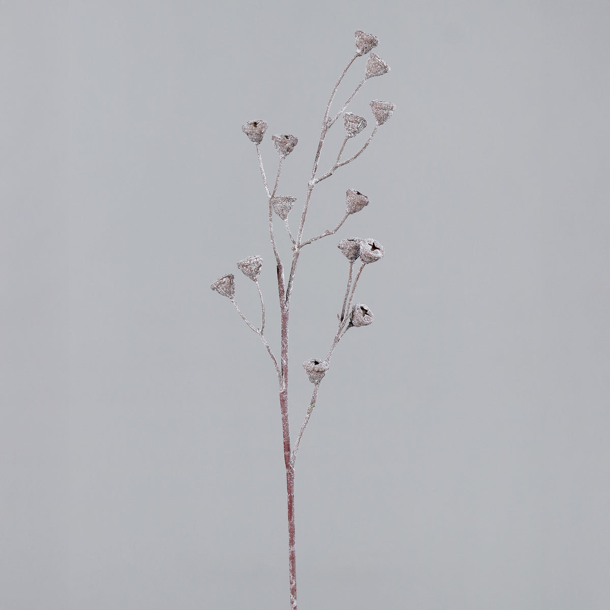 Haste eucalipto 66cm