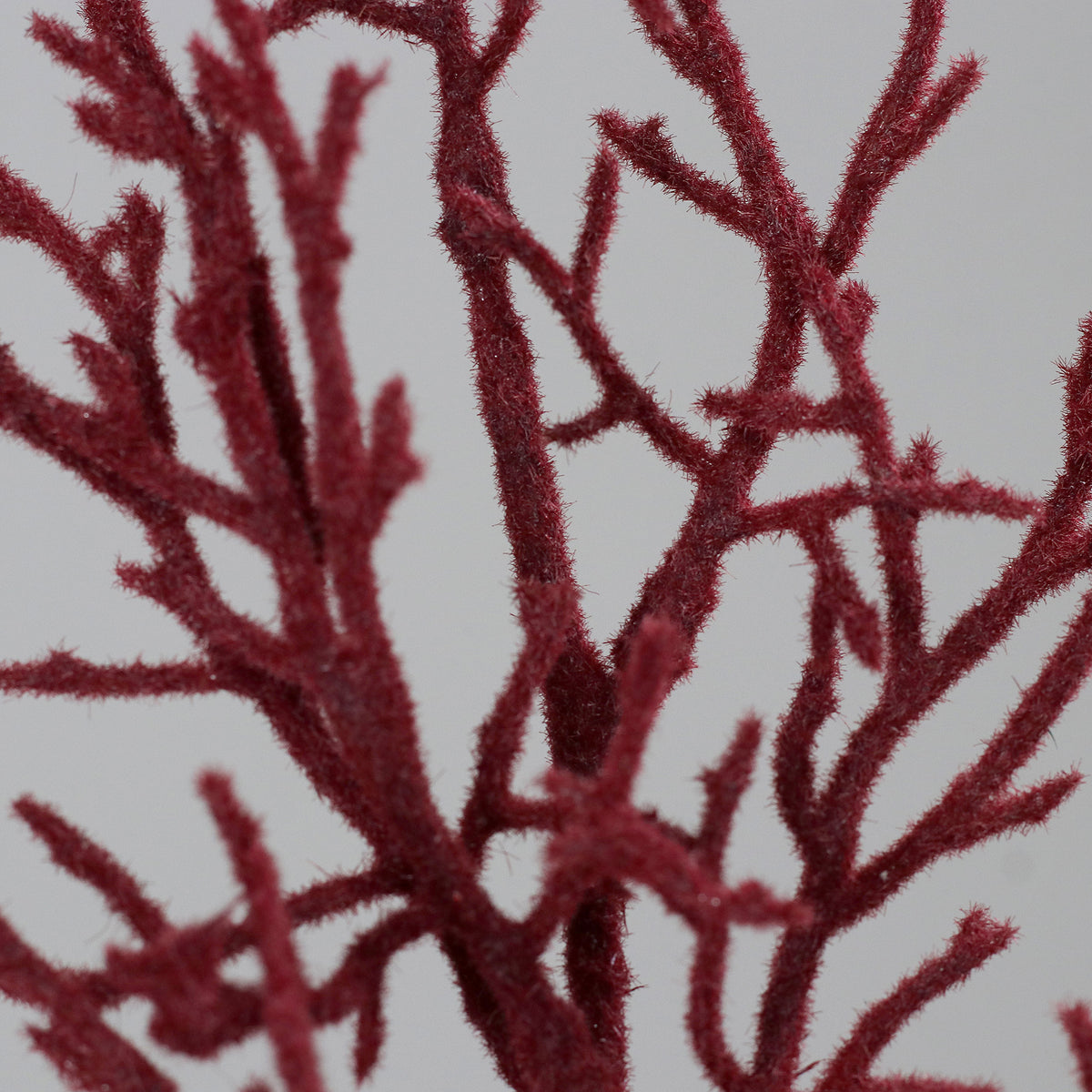 Ramo Coral 50cm