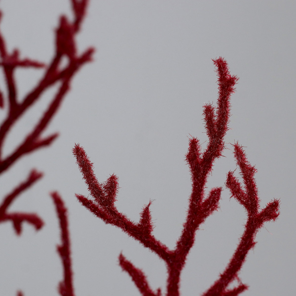 Ramo Coral 50cm
