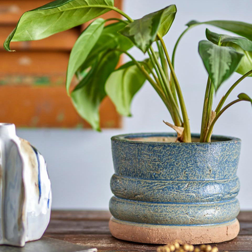 Vaso Maizun Terracota