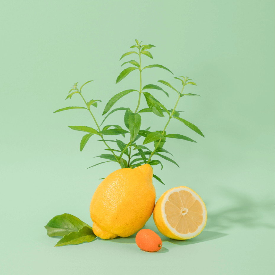 Sabão Líquido de Marseille Fresh Verbena 300ml