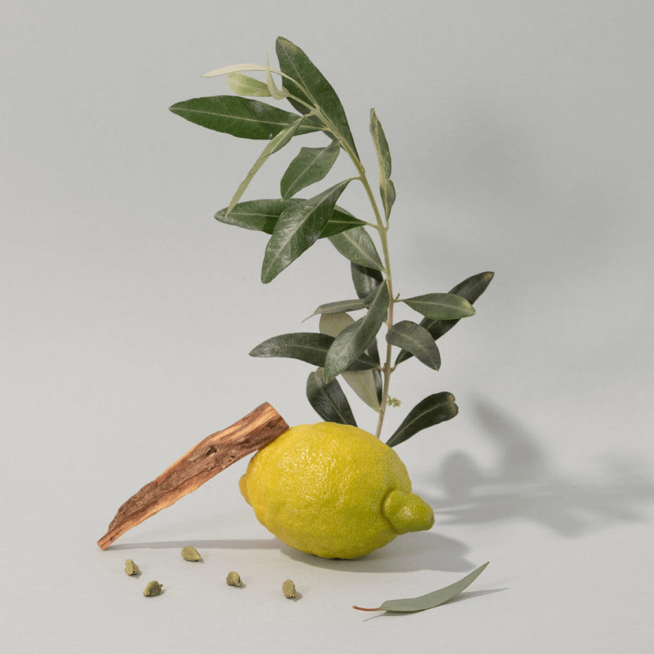 Recarga Sabão Líquido DE MARSEILLE BOIS D'OLIVIER 1L