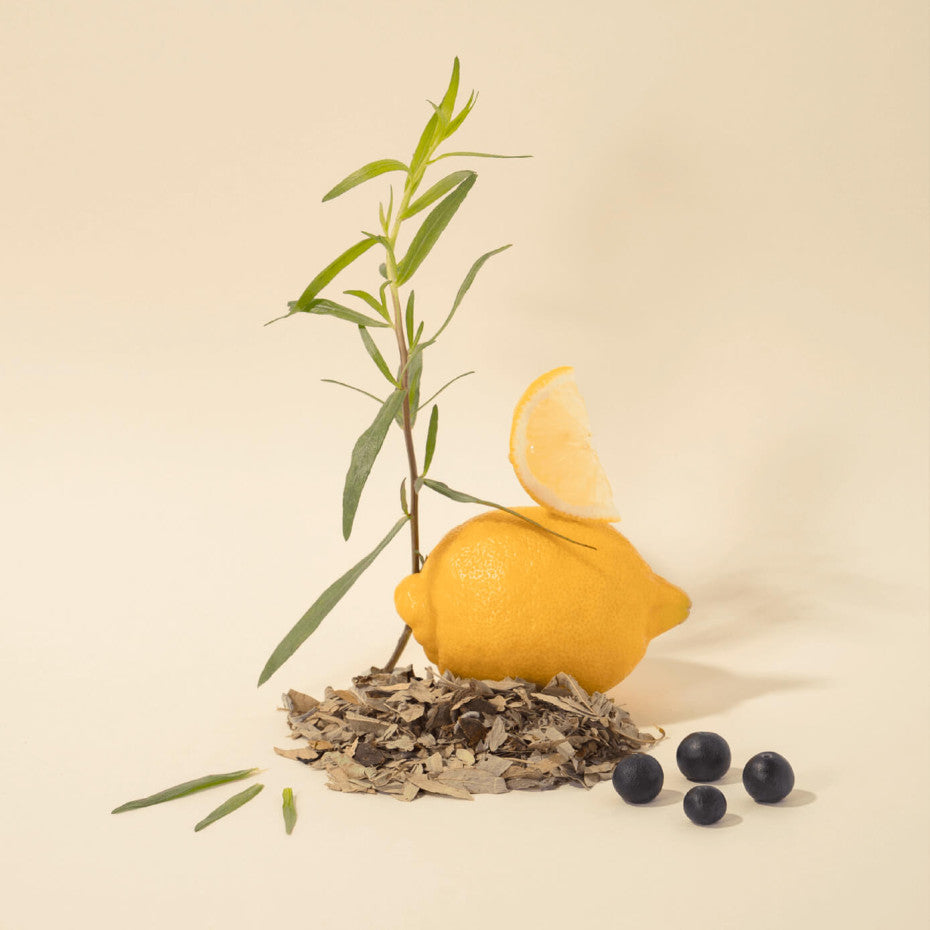 Recarga Sabão Líquido de Marseille Delicate 1L