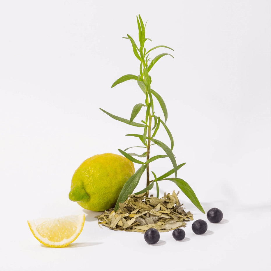 Sabão Líquido de Marseille THÉ BLANC 300ML