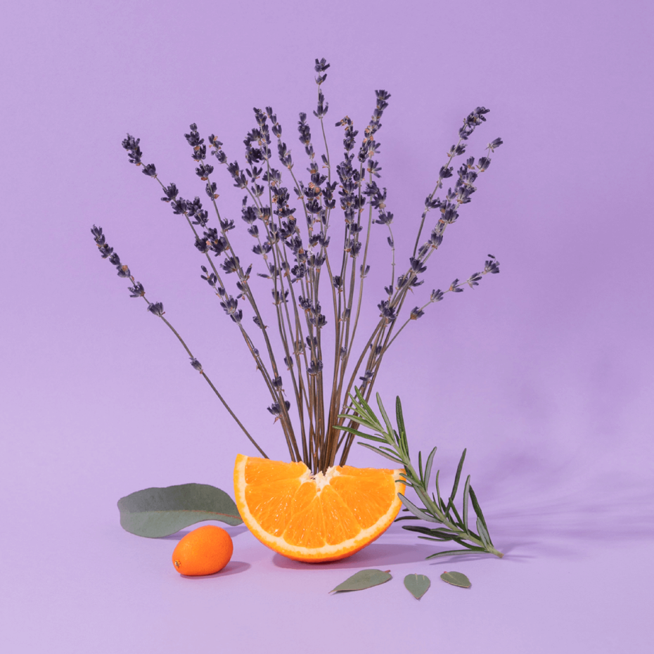 Sabão Líquido de Marseille LAVANDE AROMATIQUE 495ML