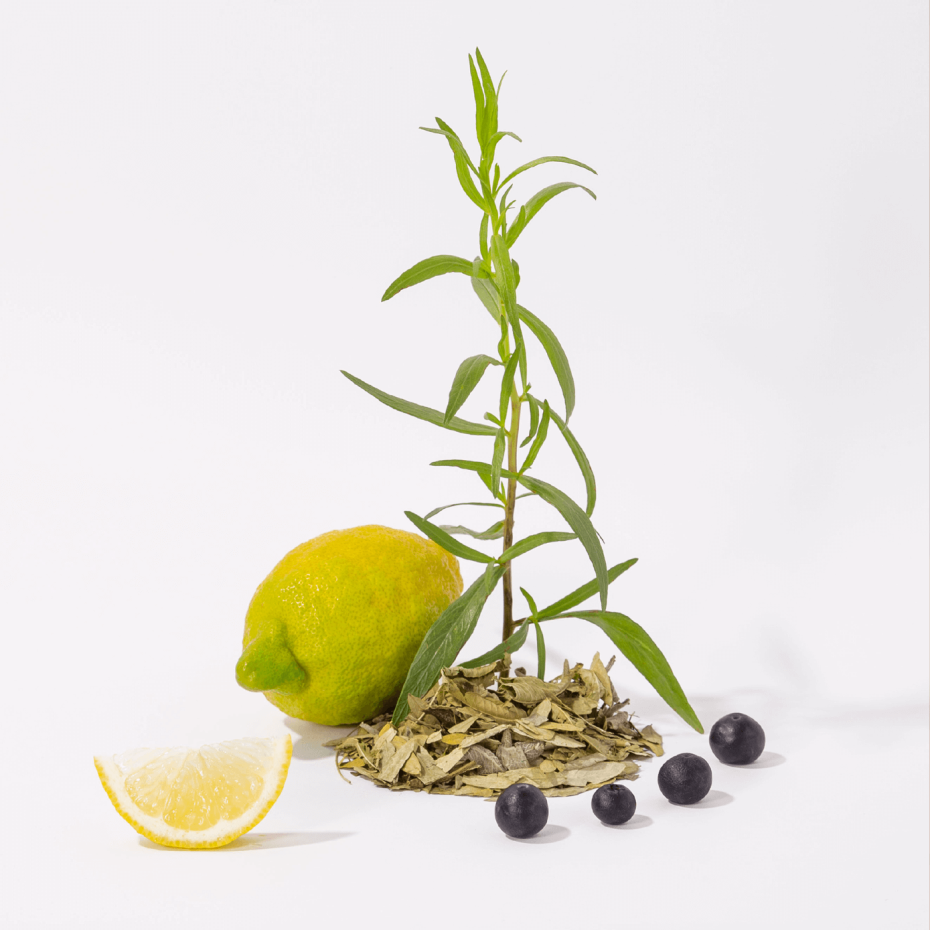 Recarga Sabão Líquido THÉ BLANC 1L