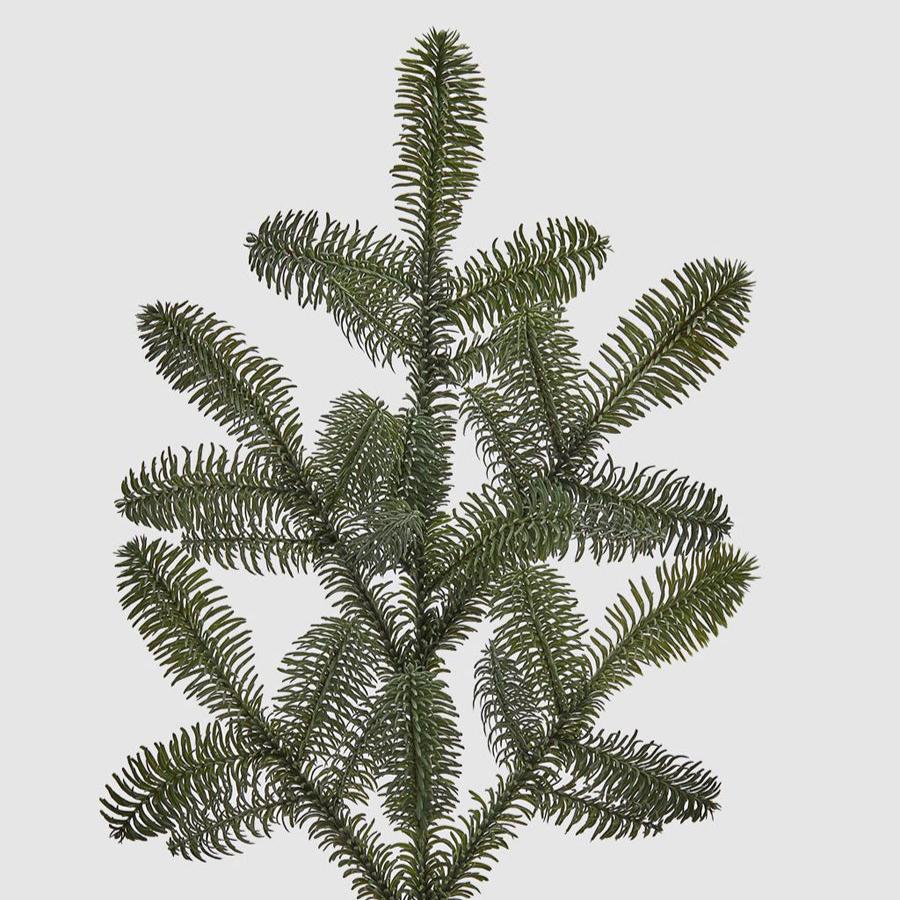 Haste De Pinheiro 73Cm