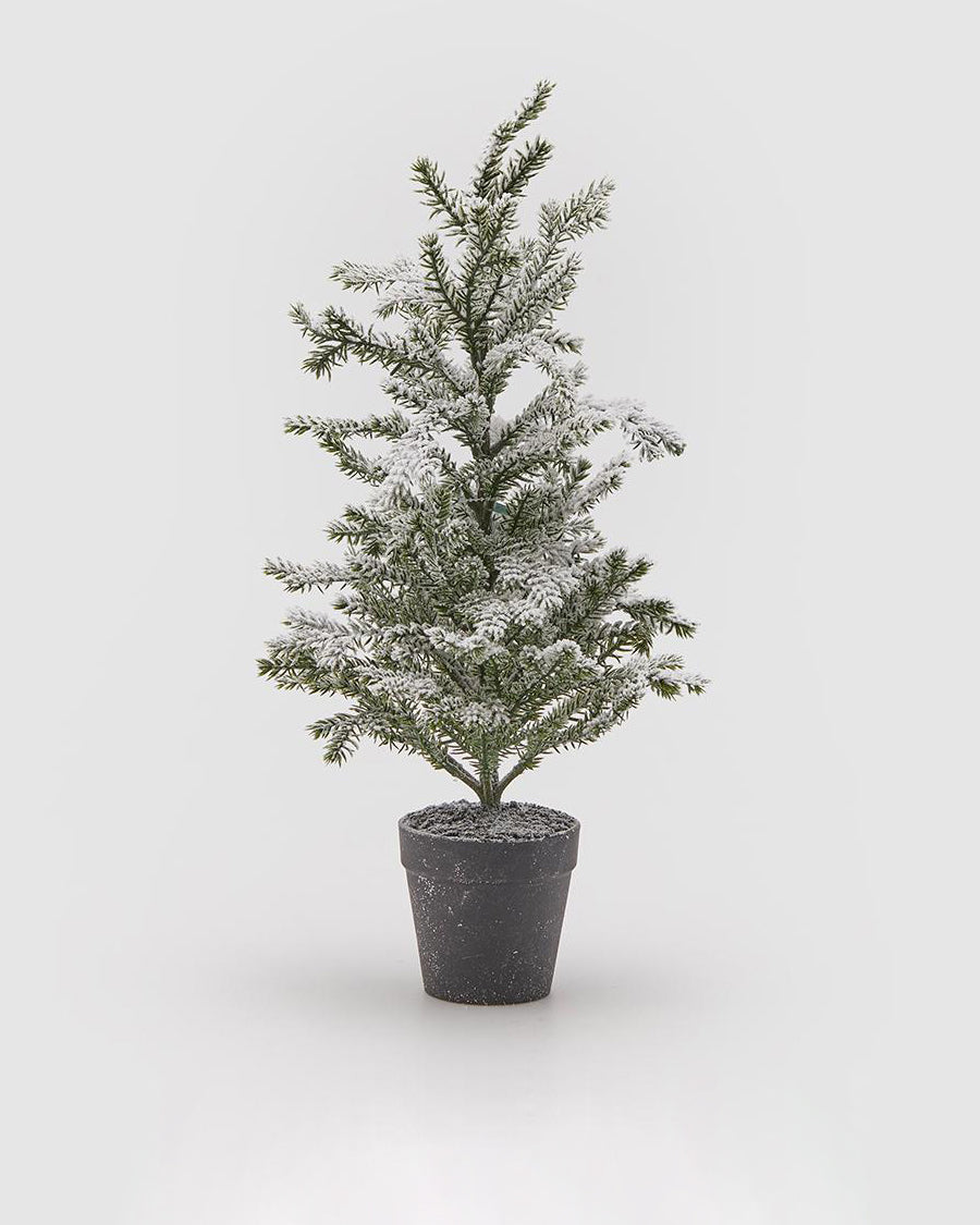 Pinheiro West c/ Neve 48cm