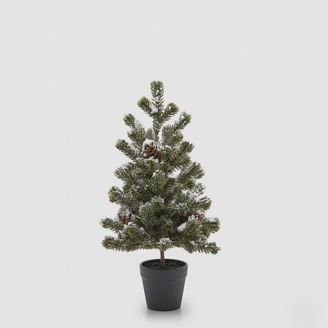 Pinheiro Neve e Pinhas  c/ Vaso 41cm