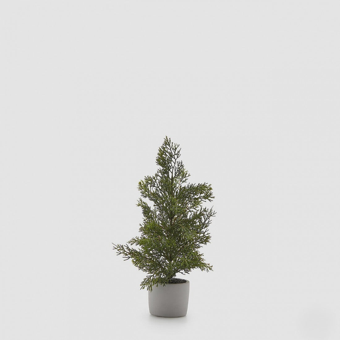 Pinheiro c/ Vaso 35cm