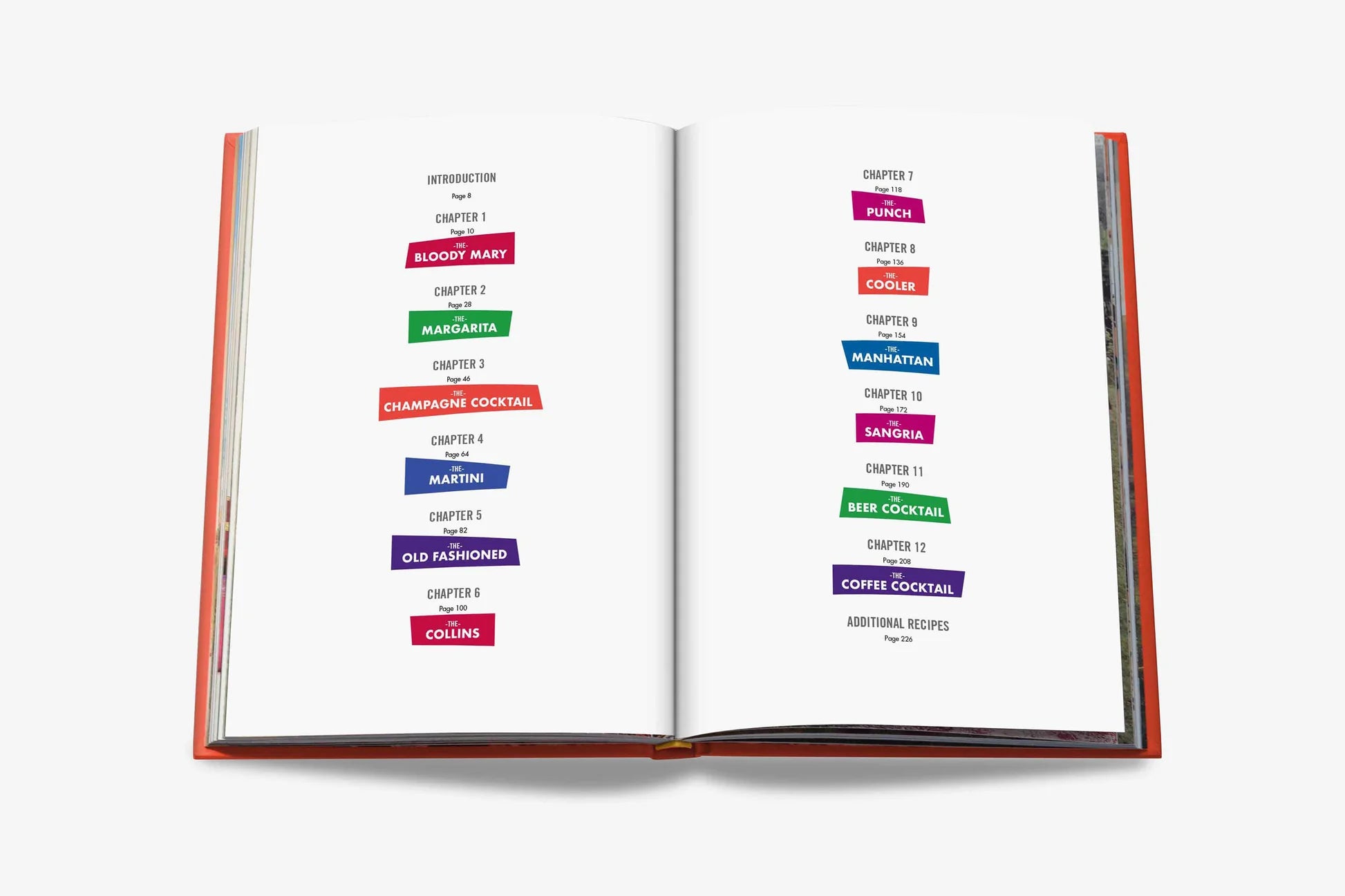 Livro Cocktail Chameleon