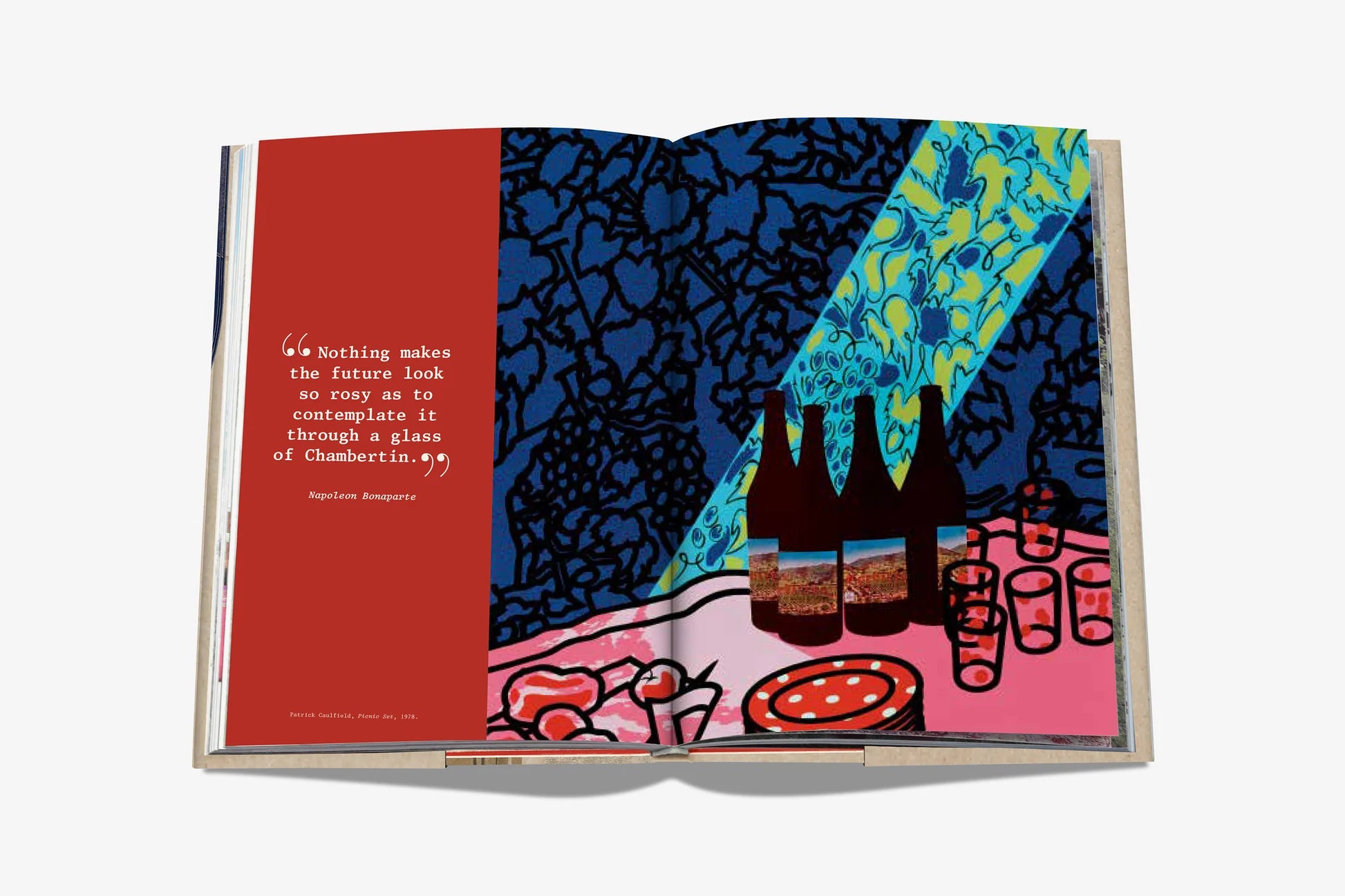 Livro The 100 Burgundy: Exceptional Wines to Build A Dream Cellar
